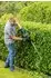 Bosch UniversalHedgeCut 50 (ohne Akku und Ladegerät)