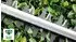 Bosch AdvancedHedgeCut 65 (06008C0801)