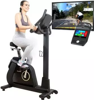 Skandika Cykling P14 Touchscreen (93513765)