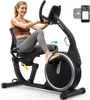 MERACH Recumbent Ergometer (35145411)