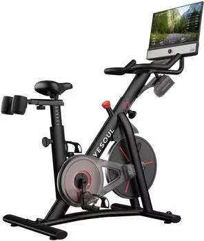 YESOUL G1M Max Heimtrainer 21,5" FHD-Display, 4&times;30W Lautsprecher, Magnetwiderstand (YS-G1MX)