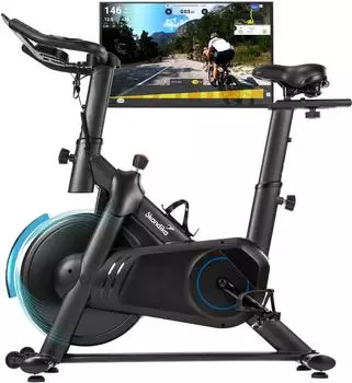 Skandika Speedbike Falk P8-HM (450464467)