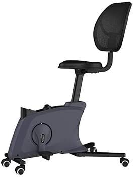 Flexispot FC211B Sit2Go schwarz