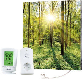 marmony Motiv Wald 50x60x2cm 500 W mittig bunt (68731324-0) marmony Motiv Wald 50x60x2cm 500 W mittig bunt (68731324-0)
