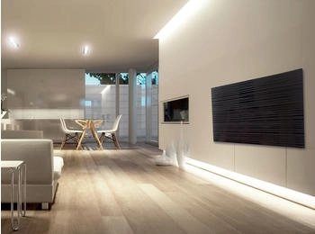 redwell Design-Line Glas-Infrarotheizung R600 Satinato Plus schwarz matt (R0600SPB0EU)