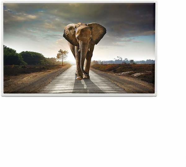 Eldstad Infrarotheizung Bildheizung Infrarot Elektro Heizung Motiv Elefant 600W