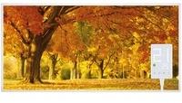Heidenfeld Infrarotheizung bedruckt Heizkörper Flachheizung Heizpaneel bis 720W (1000 Watt Herbst)