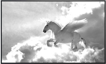 PaperMoon Infrarot-Bildheizkörper Pegasus Schwarz & Weiß (100 x 60 cm, 600 W)