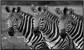 PaperMoon Infrarot-Bildheizkörper Zebras Schwarz & Weiß (100 x 60 cm, 600 W)