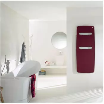 Zehnder Vitalo Spa Completto VITK-120-050 1225x16x490 Titane ZV210349A500000