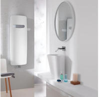 Zehnder Vitalo Spa VIT-120-050 Badheizk&ouml;rper 49 x 120 cm, Heizung, ZV200349B100000,