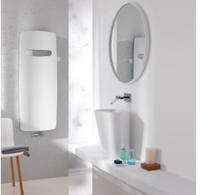 Zehnder Vitalo Spa VIT-120-060 Badheizk&ouml;rper 59 x 120 cm, Heizung,...