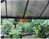 Palram Infrarotstrahler Terrasse 1800W, Kohlefaserelement, wetterfest (705782)