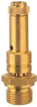 Riegler Sicherheitsventil DN 8, Messing, G 1/4, Ansprechdruck 7,1 bar (103999-226.01-7,1)