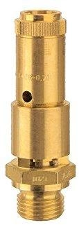 Riegler Sicherheitsventil DN 10, Messing, G 3/4, Ansprechdruck 6 bar (227.66-6,0)