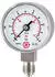 Riegler Standardmanometer CrNi-Stahl G 1/4 unten 0-100bar Ø40 (4111)