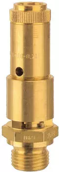 Riegler Sicherheitsventil DN10, Messing, G 3/4, 8bar (227.66-8,0)
