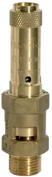 Riegler Sicherheitsventil Messing G 1 1/2 Ansprechdruck 2,5bar (229.05-2,5)