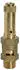 Riegler Sicherheitsventil Messing G 3/4 Ansprechdruck 6bar (229.02-6,0)