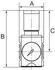 Riegler FUTURA-mini Druckregler Standardmanometer G 1/4 0,5-10bar (FUM 7010)