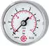 Riegler Standardmanometer CrNi-Stahl G 1/4 hinten zentriert 0-6,0 bar Ø50 (4165)