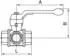 Riegler 3-Wege-Kugelhahn T-Bohrung Messing vernickelt Rp 1 1/4, DN32 (1084 F)