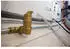 Spirotech SpiroVent RV2 Mikroluftblasenabscheider 28mm Klemmring (UA028W)
