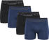 black/insignia blue