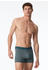 Schiesser Shorts 3-Pack Organic Cotton uni/gestreift mehrfarbig 95/5 (180199)