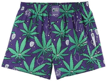 Lousy Livin Weedy Boxershorts purple haze