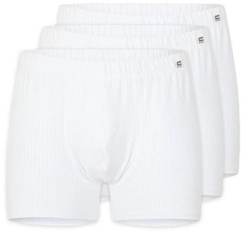 Cito cotton stripe Pants 3er Pack weiss