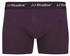 Jack & Jones Boxershorts 'JACSOHO' tanne dunkelgrün aubergine 27522421