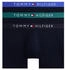 Tommy Hilfiger Boxer 'WB'