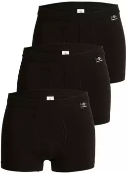 Haasis Bodywear Pants 3er-Pack ohne Eingriff Single Jersey schwarz