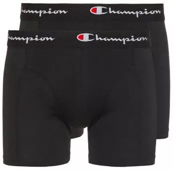 Champion Boxer (14318761) nbk
