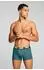 Puma 2-Pack Basic Boxershorts (69982426) emerald ice/schwarz
