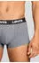 Levi's Solid Basic Trunk 2er Set (78400021) grau melange