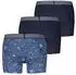 Levi's Hatch Flwr AOP Boxer Brief 3P (28152947) blau combo