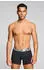 Levi's Newspaper WB Boxer Brief 2P (2er-Pack) (42877513) schwarz/grau