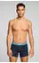 Levi's Bandana AOP Boxer Brief 2P (2er-Pack) (13901565) blau combo