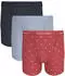 Calvin Klein Boxer Brief 3PK mit Logo-Elastikbund (97204447) shoreline/diamond logo punch pink/b