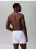 Calvin Klein Boxer Brief 3PK mit Logo-Elastikbund (97204447) shoreline/diamond logo punch pink/b
