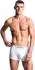 Emporio Armani Core Logoband 3er-Pack Trunk (EM000259AF14132M0066) weiß