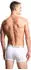 Emporio Armani Core Logoband 3er-Pack Trunk (EM000259AF14132M0066) weiß