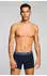 Levi's Newspaper WB Boxer Brief 2P (2er-Pack) (28160363) blau combo