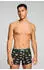 Levi's Fruity AOP Boxer Brief 2P (2-pack) schwarz/grau/grün