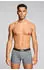 Levi's Fruity AOP Boxer Brief 2P (2-pack) schwarz/grau/grün