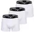 Emporio Armani Bold Monogram 3-Pack Trunk (EM000259) weiß