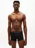 Tommy Hilfiger 3-Pack Signature Repeat Logo Waistband Trunks (UM0UM03890) reg blu/bon org/blk