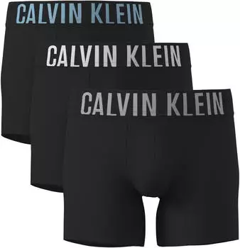 Calvin Klein 3-Pack Trunks with elastic logo waistband (000NB3608A) black
